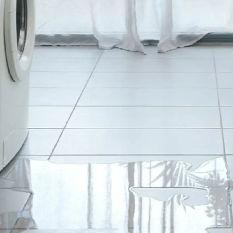 Appliance Leak Cleanup in Somers, WI