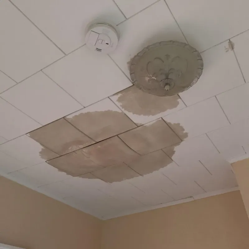 Ceiling Water Damage Repair in Somers, WI