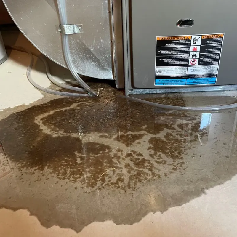 Pipe Burst and Leak Restoration in Somers, WI